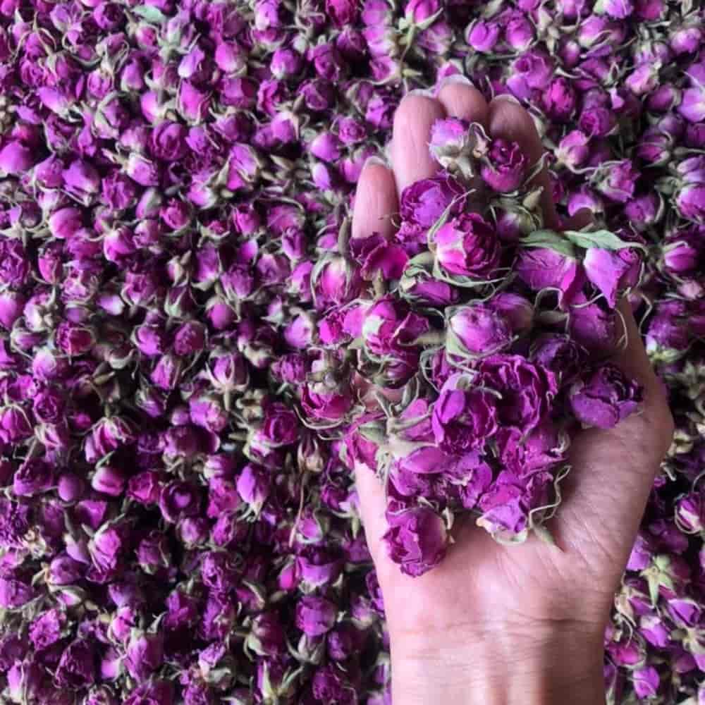 فروش غنچه سوپر لوکس لاله زار کرمان