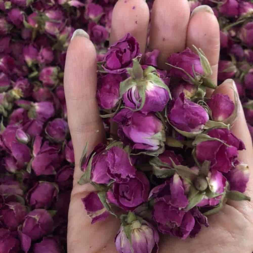 فروش عمده غنچه گل محمدی با قیمت مناسب