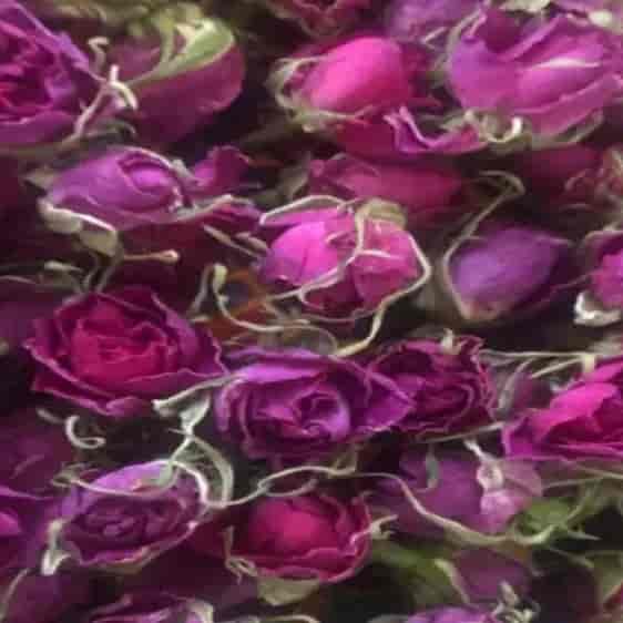 1781000221912.webp