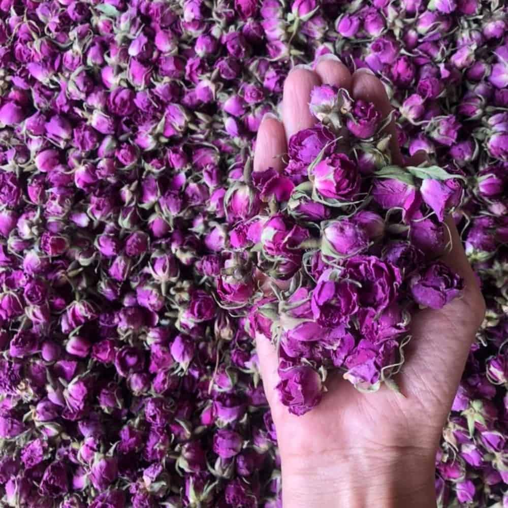 فروش غنچه سوپر لوکس لاله زار کرمان