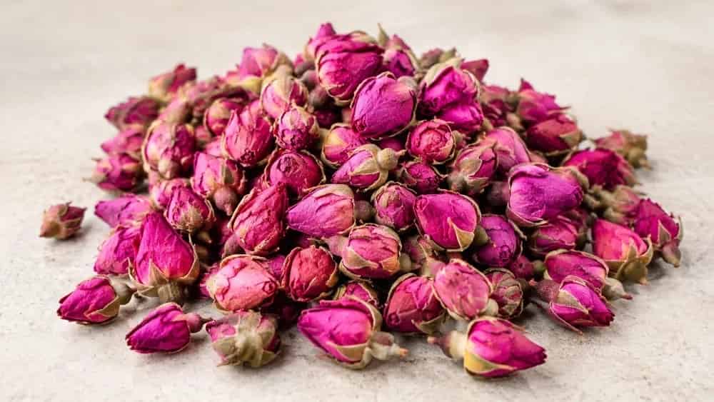 غنچه گل محمدی ایرانی کیفیت ممتاز، تأمین تناژی