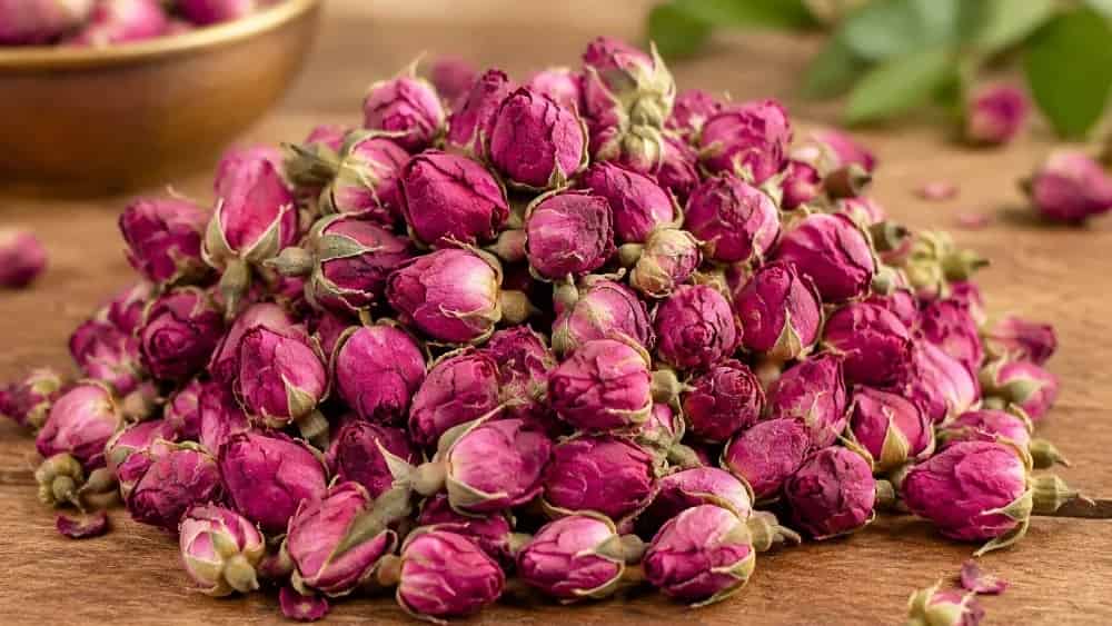 غنچه گل محمدی ممتاز فروش عمده و صادراتی