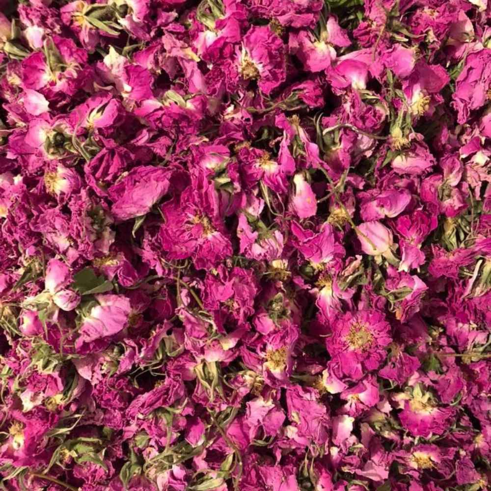 فروش گل باز با کیفیت عالی و قیمت مناسب