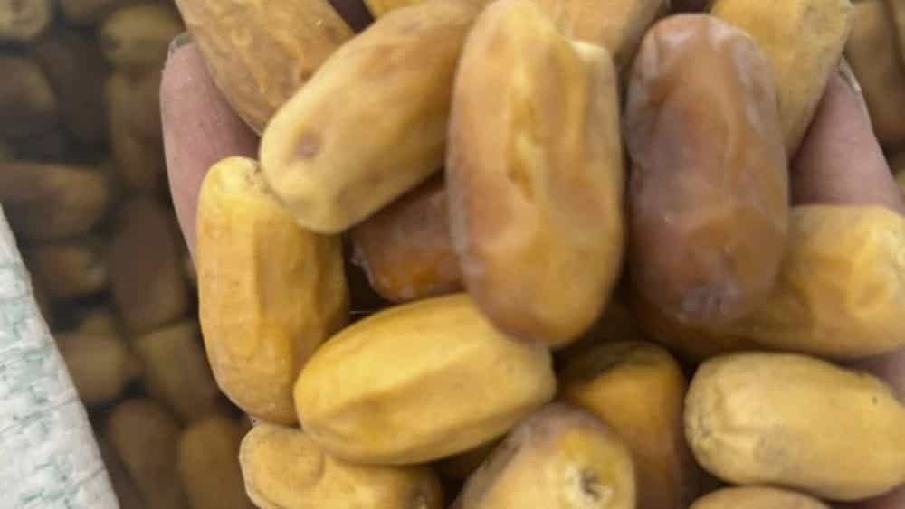فروش ویژه خرما قصر قندشکن