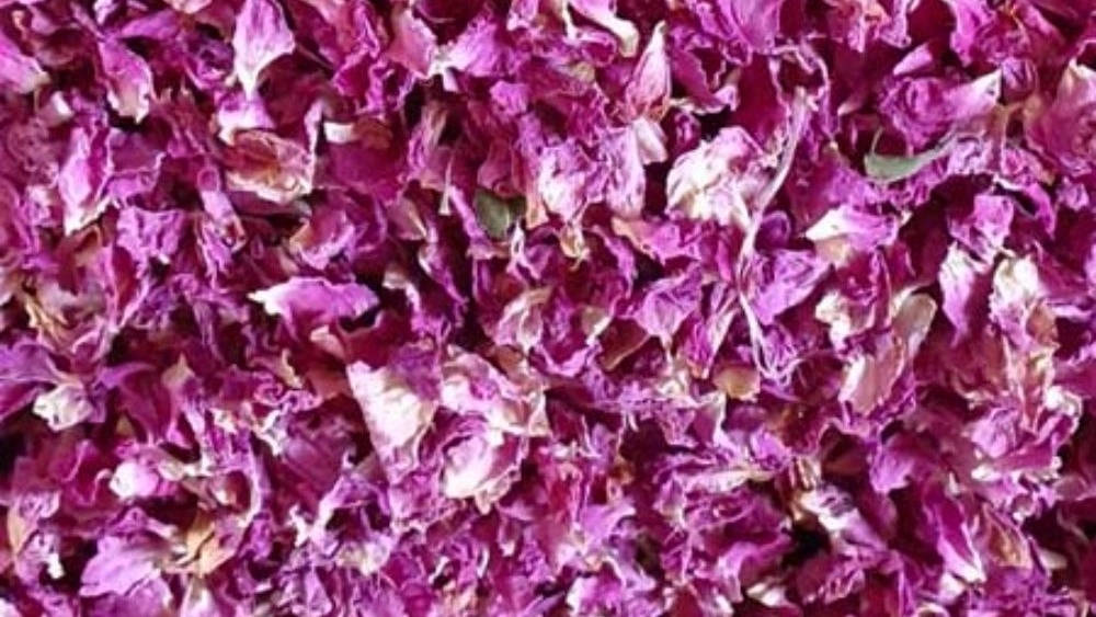 غنچه گل محمدی خشک صادراتی تأمین مستقیم از ایران غنچه گل محمدی خشک صادراتی تأمین مستقیم از ایران
