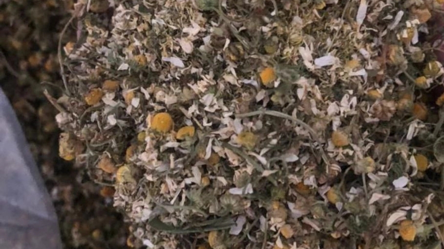 Selling Shirazi chamomile at a reasonable price Selling Shirazi chamomile at a reasonable price
