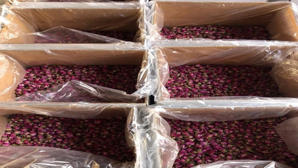Sale of high quality Mohammadi flower bud Sale of high quality Mohammadi flower bud